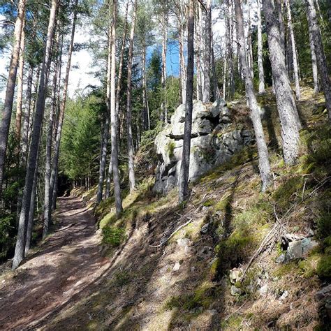 Wanderung Zum Schl Sslefelsen In Tennenbronn