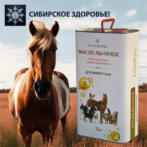 Масло льняное для животных, обогащенное провитамином А (5 литров ...