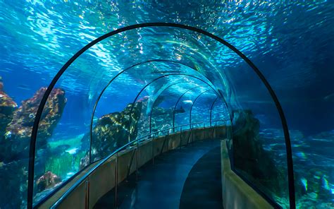 Barcelona Aquarium Opening Hours Detailed Guide