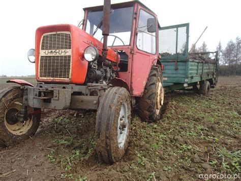 Foto Traktor Ursus C 330 531050 Galeria Rolnicza Agrofoto