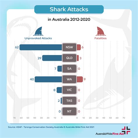 3 species are responsible for fatal shark attacks in Australia