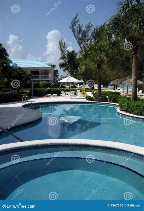 Cayman Pool stock photo. Image of palm, trees, tropical - 1567650