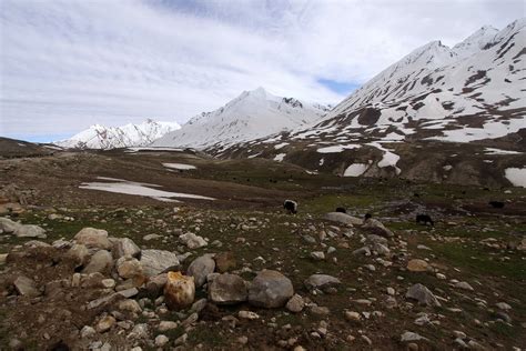 India Zanskar Landscape At The Pensi La Pass Pensi La Flickr