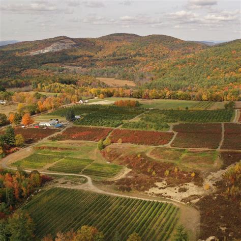 20 Best Apple Picking At Orchards In The Us