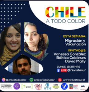 Participación directora de PROESSA en Podcast Chile a todo color