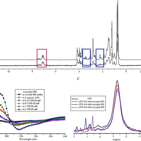 PDF A Novel Cecropin B Derived Peptide With Antibacterial And