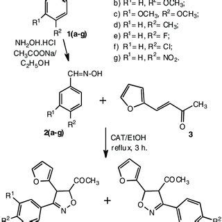 Schematic diagram for the synthesis route for isoxazole derivatives ...