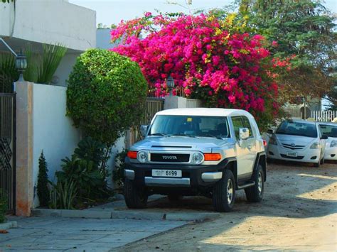 Cuál es la multa por estacionarse frente a una casa