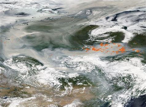 Rusia El Ncendio Forestal En Siberia Hoy Afectan Más De 6 Millones De