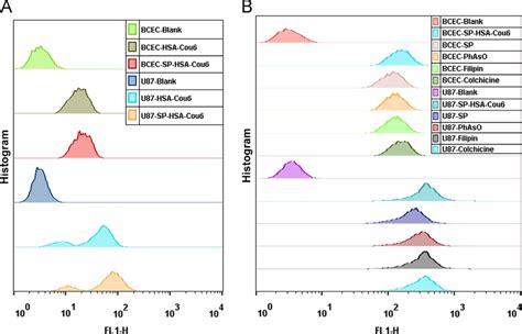 Flow Cytometric Quantitative Analysis Of Cellular Uptake A And The