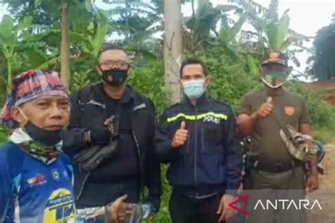 Ikuti Google Maps Seorang Pemudik Tersesat Ke Kawasan Hutan Karawang