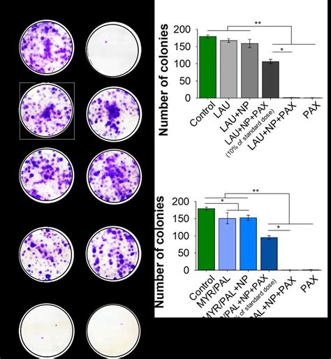 Inhibition Of Colony Formation Assay A And Average Inhibition Of