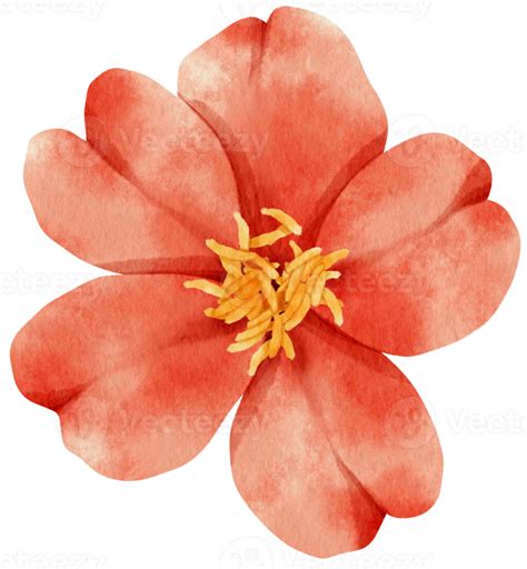 Recopilación imagen 200 flores rojas png Abzlocal mx