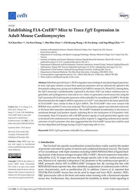 Pdf F1a‐creer T2 Mice Targeting And Tracing Cardiomyocytes With Fgf1