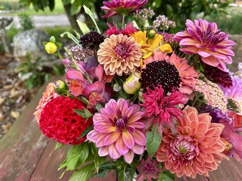 Bricker's Strawberries - "Hello World", Bricker's Strawberries pick