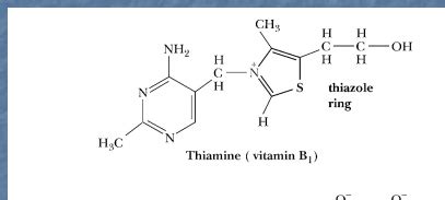 Lecture 2 B Vitamins Flashcards Quizlet