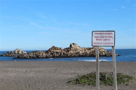 Buscarán proteger santuarios naturales en Cobquecura