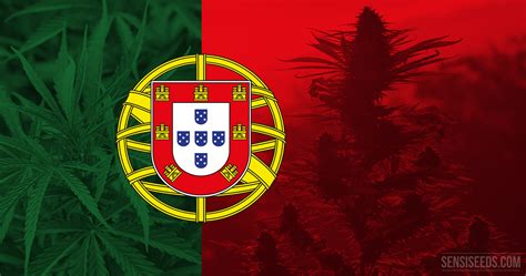 Cannabis In Portugal