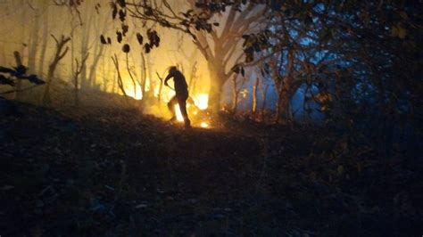 Se combaten 6 incendios forestales en Guerrero informa Protección Civil