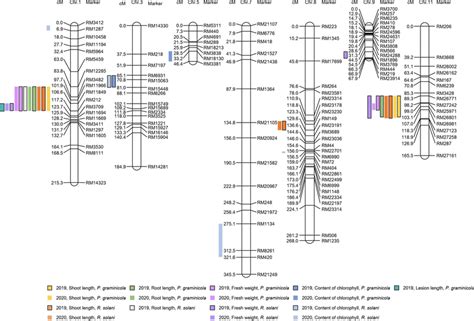 Chromosomal Locations Of Qtls Detected Using Various Agricultural