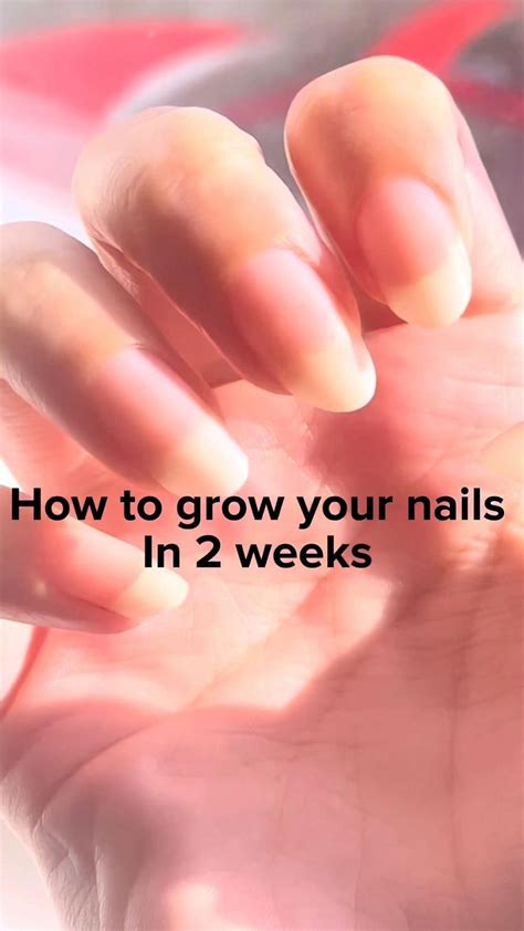 How To Grow Your Nails Just In 2 Weeks How To Grow Nails Grow Nails Faster Grow Long Nails