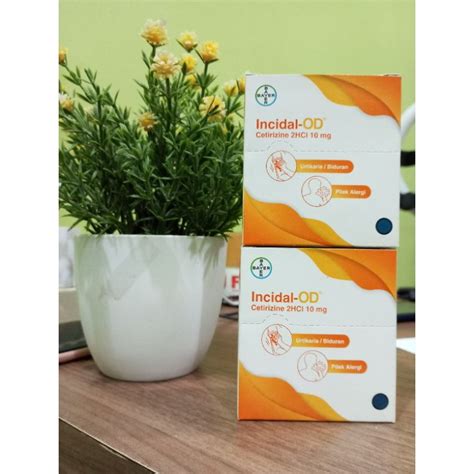 Jual Incidal Od 10mg Box 32 Kapsul Obat Alergi Shopee Indonesia