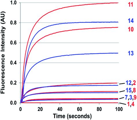 Amino Dialkylaminobiphenyl Based Fluorescent Intracellular Probes