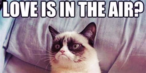 21 Best Grumpy Cat Memes And Funny Quotes About Love And Life Yourtango