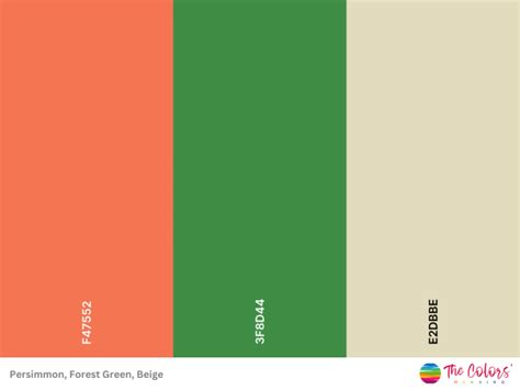 Persimmon Color: Meaning, Shades and Codes