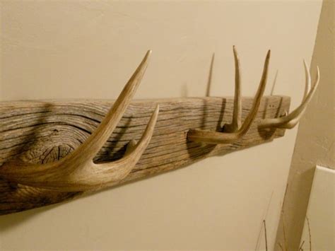 10 Creative Uses For Your Shed Hunting Antlers Antler Crafts Deer