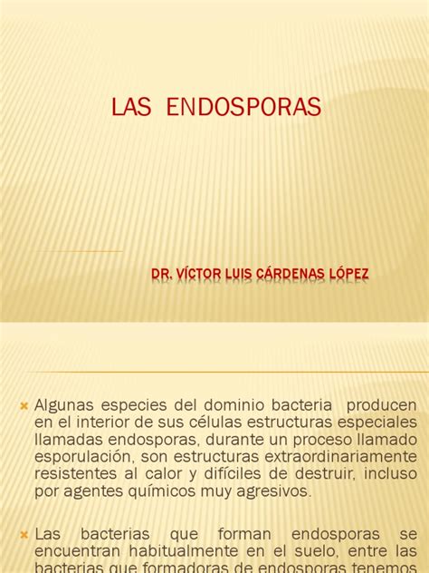 Las Endosporas Descargar Gratis Pdf Biología Celular Citoplasma