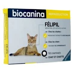 Pilule Contraceptive Pour Chat Belgique Meteor