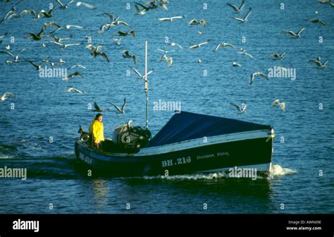 Coble Fishing Boat A Traditional Design Of Fishing Boat Found On The