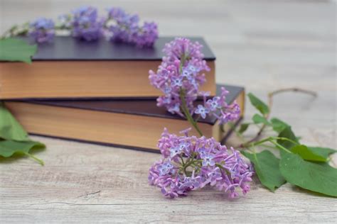 Premium Photo | A book on a table with a lilac flowers on it