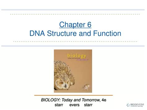 Ppt Chapter 6 Dna Structure And Function Powerpoint Presentation