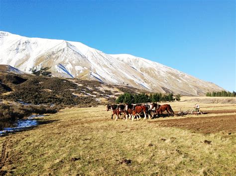 Canterbury High Country Stations Leisure Time Travel