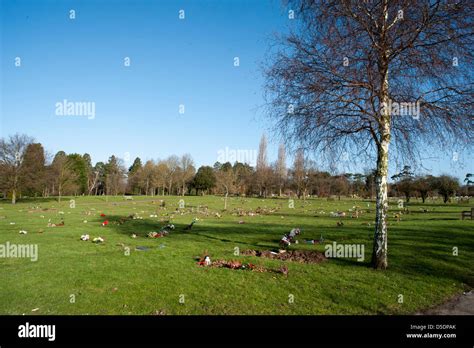 Carpenders Park Lawn Cemetery Hi Res Stock Photography And Images Alamy