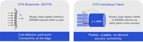 What Is Otn Optical Transport Networking Ciena