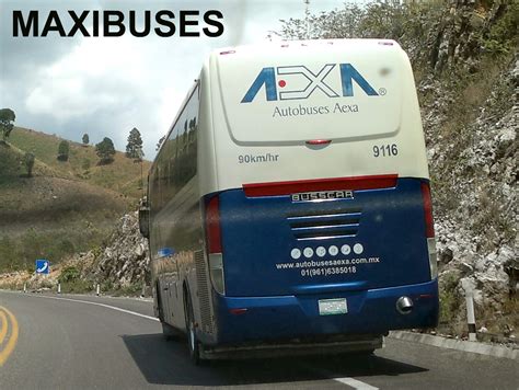 MAXIBUSES AUTOBUSES EXPRESO AZUL AEXA DIVISIÓN TURÍSTICA TURISMO