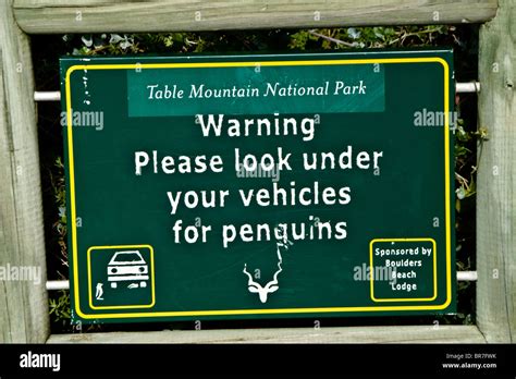 Warning Sign For Penguins Boulders Beach Simon S Town Cape Peninsula