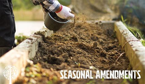 5 Cool Ways To Conserve Garden Soil Garden Culture Magazine