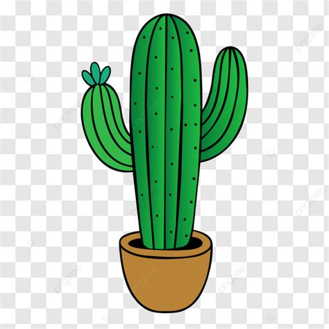 Vector De Cactus Alto Png Dibujos Cactus Planta Verde Png Y Vector Para Descargar Gratis