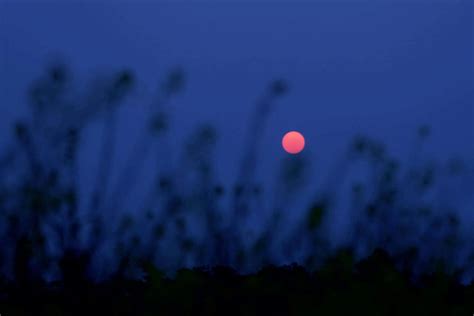 The moon may be pink tonight in Ontario | INsauga