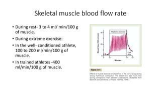 Muscle Blood Flow And Cardiac Output During Exercise Pptx