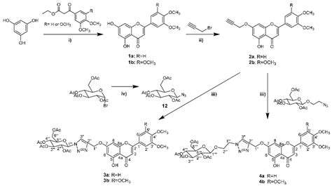 Scheme 1 Synthesis Of Flavones 1a 1b 2a 2b 3a 3b And 4a 4b I 240 Download Scientific