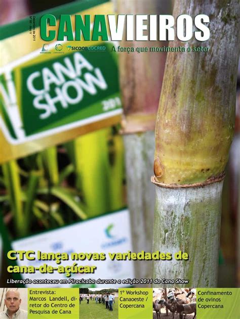 Calam O Revista Canavieiros Ctc Lan A Novas Variedades De Cana De