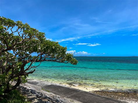 瑠璃色の海に囲まれた小さな島🏝鳩間島へ 西表島 Iriomote Island