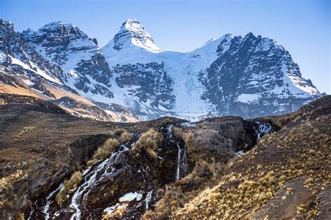 Andean Mountains: Scientists Find New, Rare and Rediscovered Species