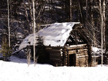 Bildet tre skog snø vinter hus hytte vær årstid log cabin