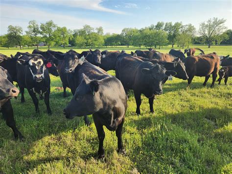 New Secret Weapon added a new photo. - New Secret Weapon